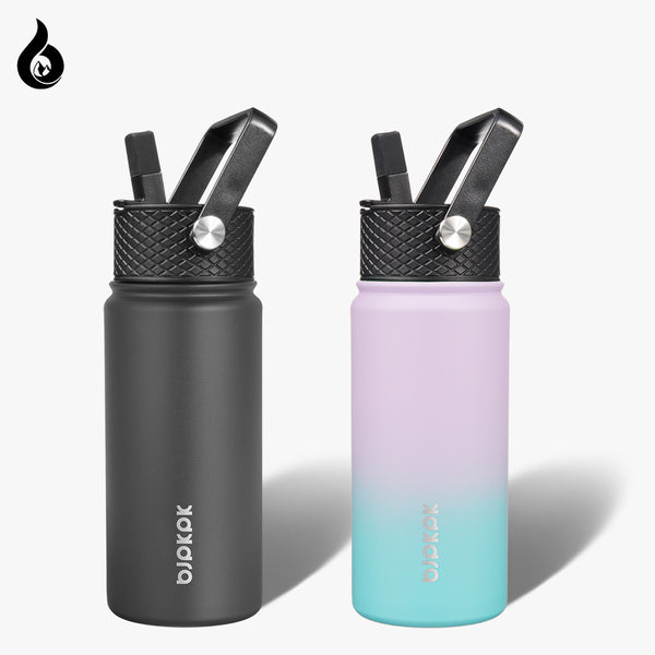 BJPKPK 2 Pack Insulated Water Bottles with Straw Lids