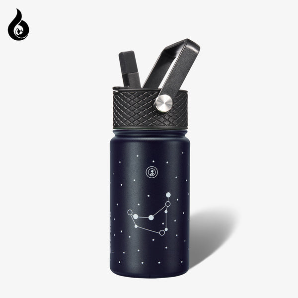 BJPKPK Constellation Insulated Water Bottle with Straw Lid, 15oz