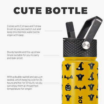 BJPKPK Water Bottle with Straw Lid, 15 oz Insulated Water Bottle, Stai