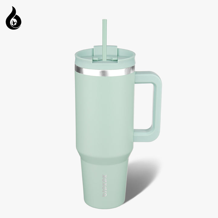 BJPKPK Insulated Tumblers With Handle And Straw