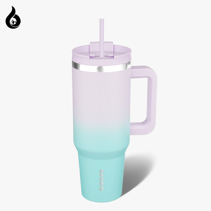 BJPKPK Insulated Tumblers With Handle And Straw