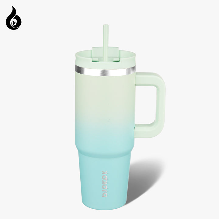 BJPKPK Insulated Tumblers With Handle And Straw