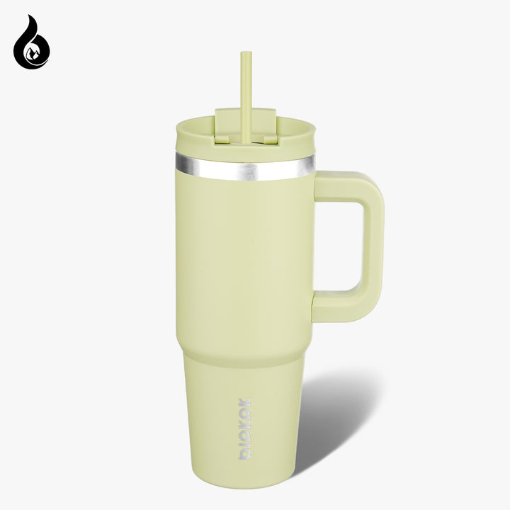 BJPKPK Insulated Tumblers With Handle And Straw