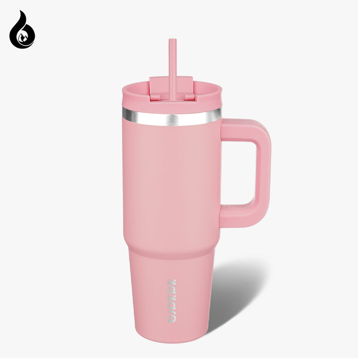 BJPKPK Insulated Tumblers With Handle And Straw