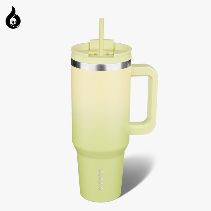 BJPKPK Insulated Tumblers With Handle And Straw