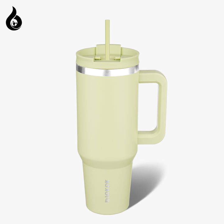 BJPKPK Insulated Tumblers With Handle And Straw