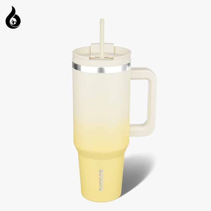 BJPKPK Insulated Tumblers With Handle And Straw