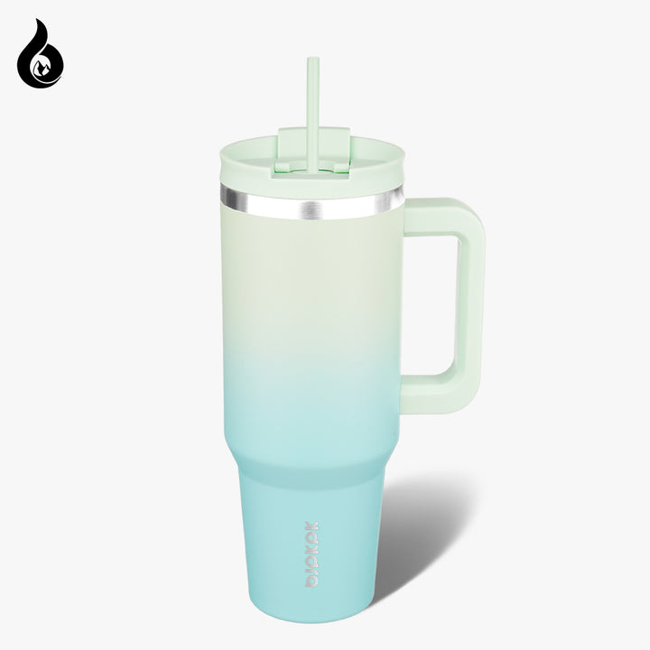 BJPKPK Insulated Tumblers With Handle And Straw