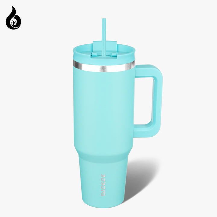 BJPKPK Insulated Tumblers With Handle And Straw