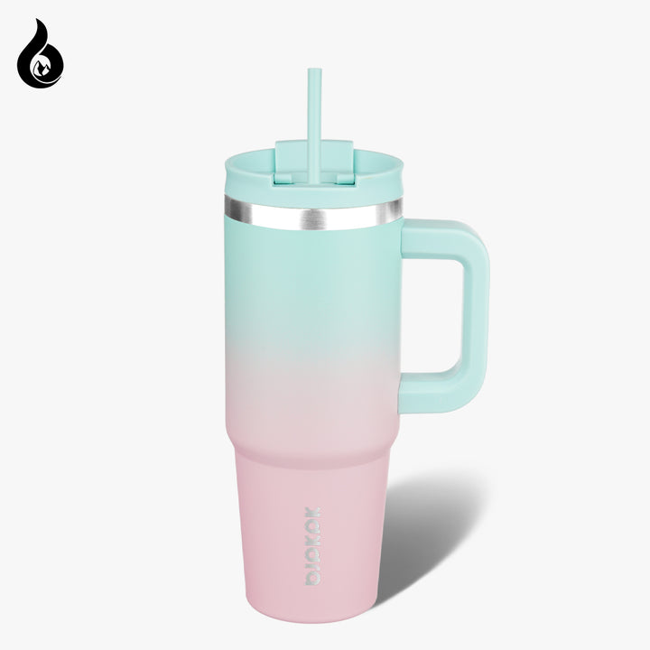 BJPKPK Insulated Tumblers With Handle And Straw