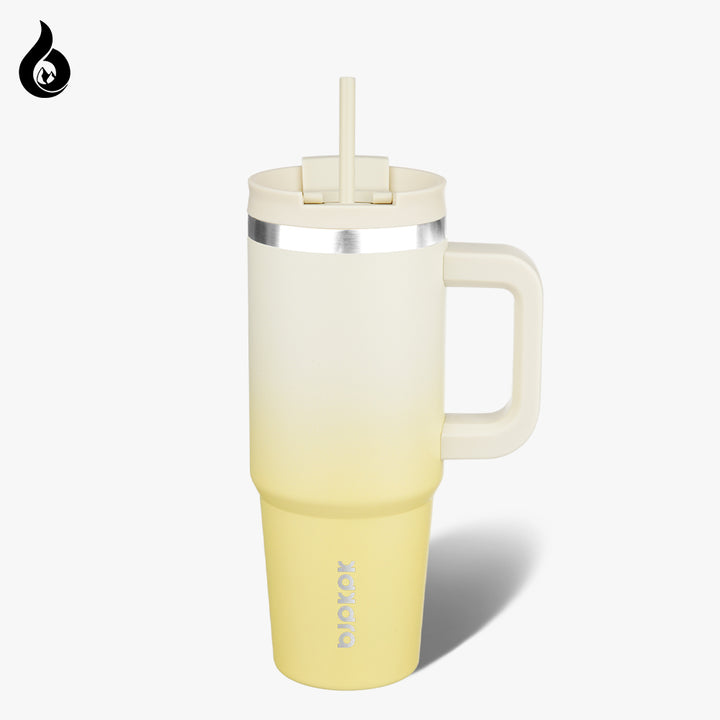 BJPKPK Insulated Tumblers With Handle And Straw