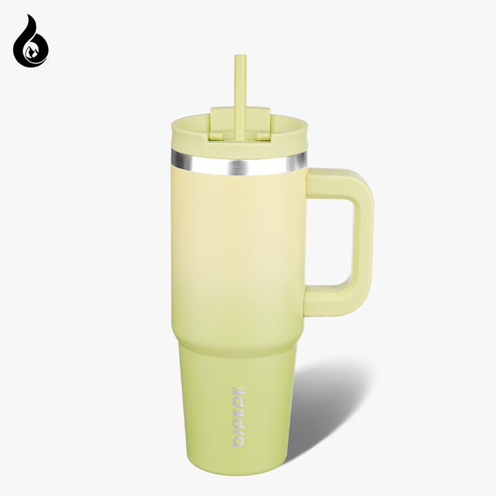 BJPKPK Insulated Tumblers With Handle And Straw